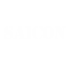 saicon logo
